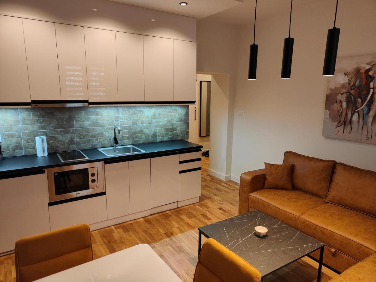 Center Dorcol Square Apartament Belgrad