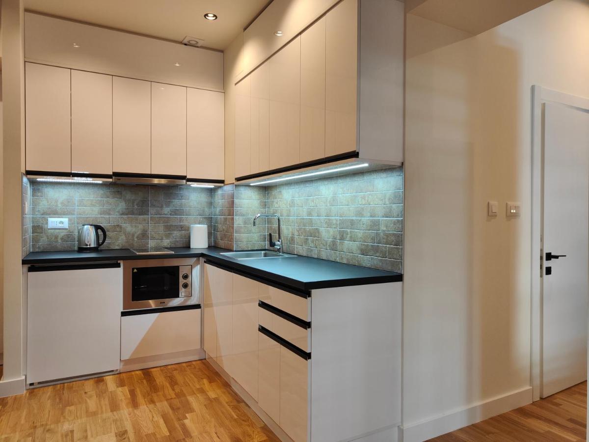 Center Dorcol Square Apartament Belgrad